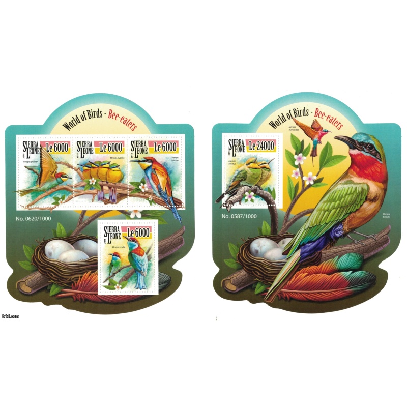 SIERRA LEONE 2015 - Birds, bee-eaters