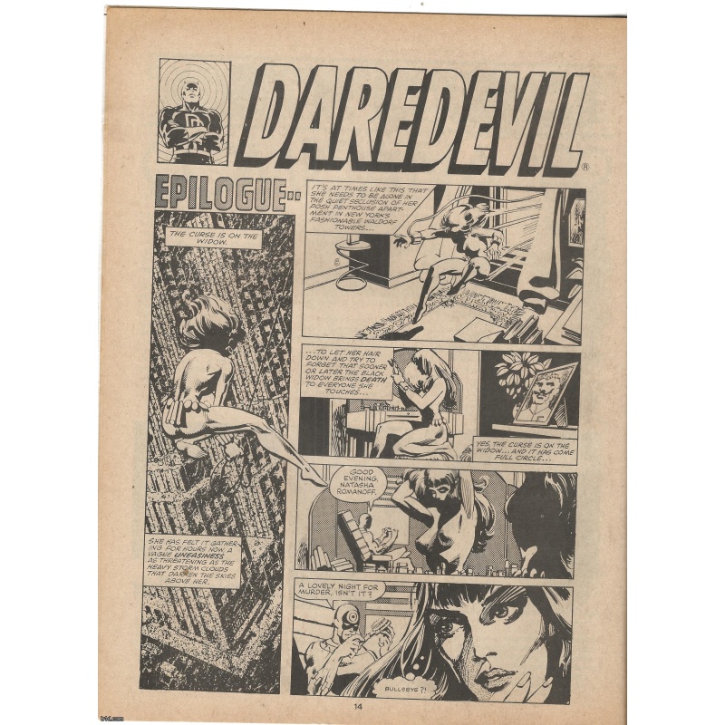 The Daredevils Number 2 1981