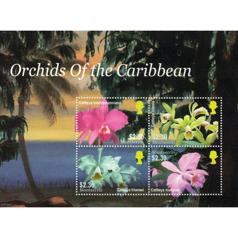 MONTSERRAT 2005/2008 - Orchids of the Carribean / sheets MNH (2 scans)