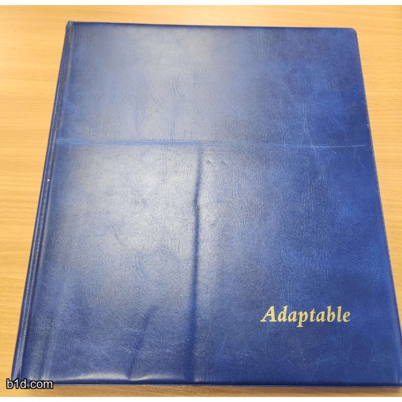 Blue Adaptable 22 ring album with mixed pages