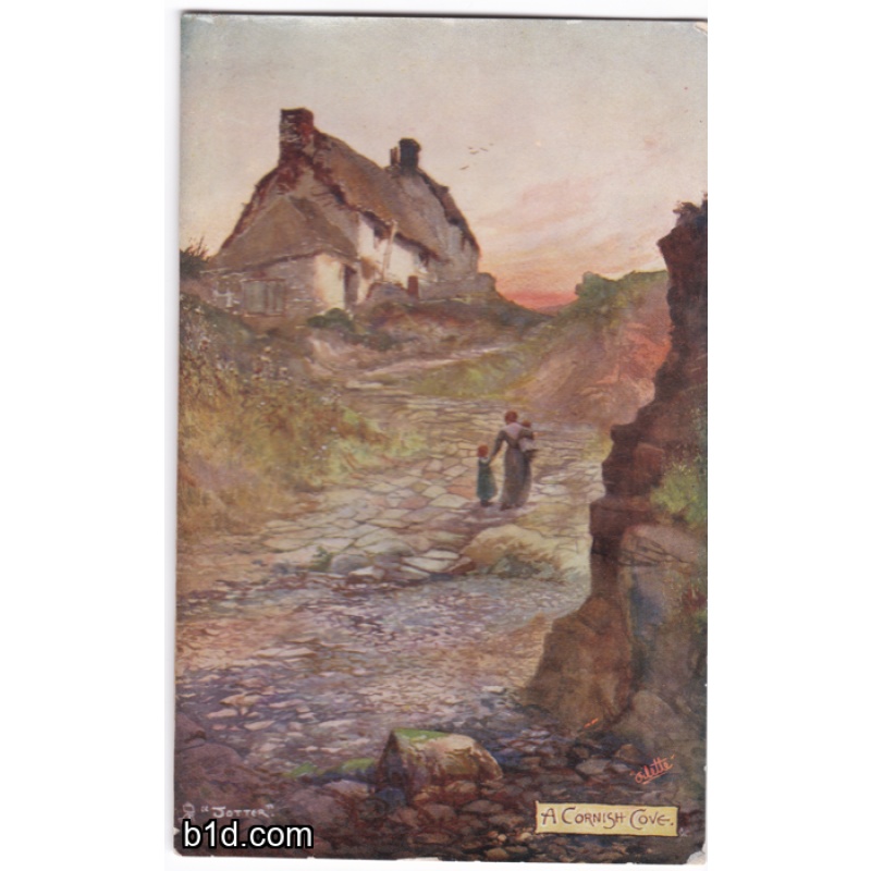 A cornish Cove, Cornwall postcard unused